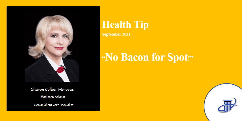 No Bacon for Spot! – 2021